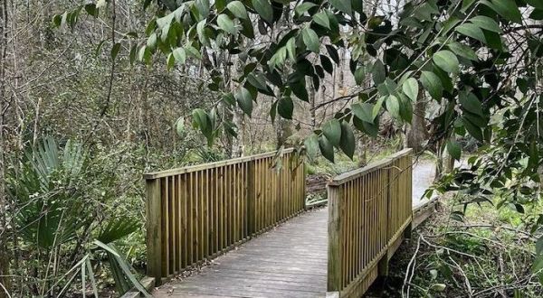 Black Swamp Trail Is A Boardwalk Hike In Louisiana That Leads To A Secret Garden