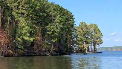 Soak Your Stress Away In The Forests Of Louisiana's Lake Claiborne State Park At White Tail Trail
