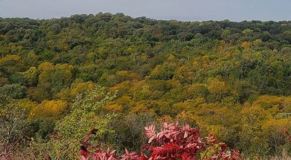 The View From This Little-Known Overlook In Iowa Is Almost Too Beautiful For Words