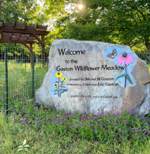 Hike Through A Sea Of Wildflowers Along The Gaston Wildflower Garden Trail In Arkansas