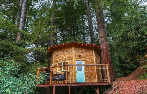 For Just $190 A Night, You Can Stay In A Cedar Tree House At Nisene Marks State Park In Northern California