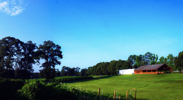 You Can Camp Overnight At This Remote Winery In Louisiana