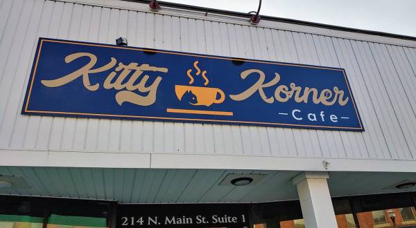 Order A Treat And Coffee While You Play With Cats At This Only-In-Vermont Kitty Korner Cafe