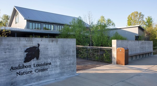 3 Louisiana Nature Centers That Make Excellent Family Day Trip Destinations