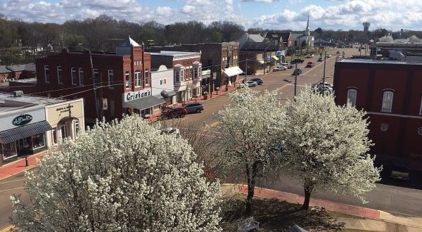 The Small Town Near Nashville Boasting World-Famous Scones Is The Sweetest Day Trip Destination