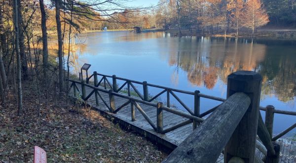 The Lake Ponder Trail Is A Boardwalk Hike In Arkansas That Leads To A Secret Spring