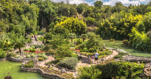 Texas' Most Easily Accessible Waterfall Is Hiding In Plain Sight At The San Antonio Japanese Tea Garden