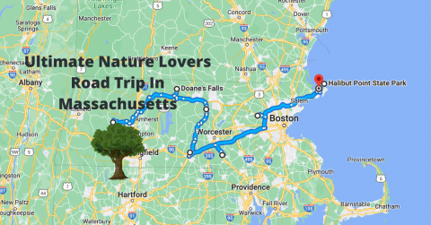 The Ultimate Massachusetts Nature Lovers Road Trip Leads To Pristine Beaches, A Waterfall, And More