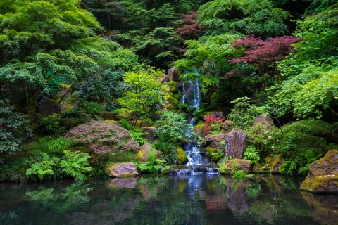 Oregon's Most Easily Accessible Waterfall Is Hiding In Plain Sight At The Portland Japanese Garden