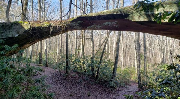 The Bridge To Nowhere In The Middle Of The Tennessee Woods Will Capture Your Imagination
