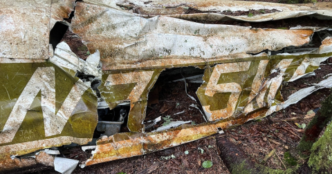 The Creepiest Hike In North Carolina Takes You Through The Ruins Of An Airplane Crash