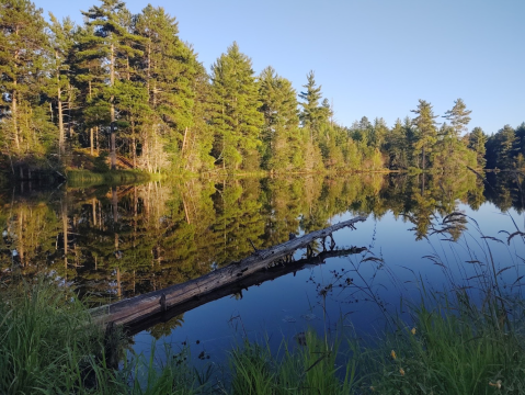 There's A Lake Hiding In A Michigan Forest Where You Can Camp Year-Round