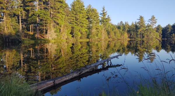 There’s A Lake Hiding In A Michigan Forest Where You Can Camp Year-Round