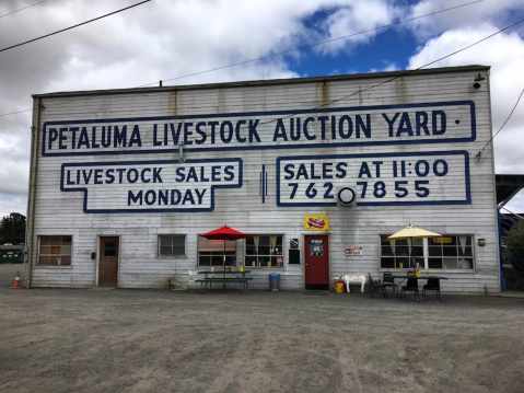 There's A Delicious Hot Dog Stand Hiding Inside This Old Livestock Auction Yard In Northern California