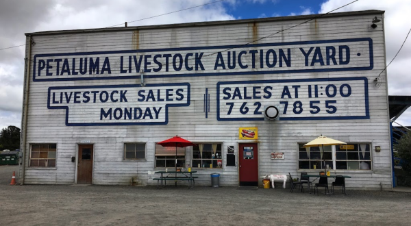 There’s A Delicious Hot Dog Stand Hiding Inside This Old Livestock Auction Yard In Northern California