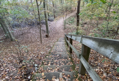 The One Loop Trail In Ohio That's Perfect For A Short Day Hike, No Matter What Time Of Year