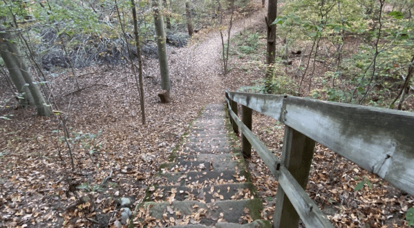 The One Loop Trail In Ohio That’s Perfect For A Short Day Hike, No Matter What Time Of Year