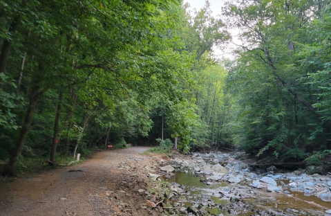 The One Loop Trail In Virginia That's Perfect For A Short Day Hike, No Matter What Time Of Year