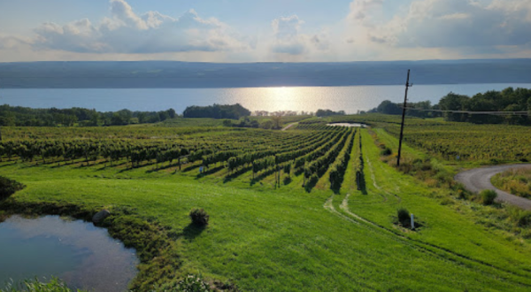 With Wineries And Water Galore, Hector Is The Best Small Town In New York For A Spontaneous Getaway