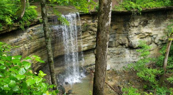 This Kentucky Waterfall Is So Hidden, Almost Nobody Has Seen It In Person