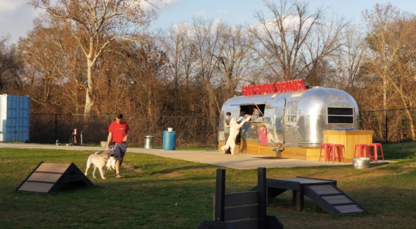 Order A Pint While You Play With Puppies At This Georgia Dog Park