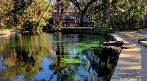 There's A Spring Hiding In A Florida National Forest Where You Can Camp Year-Round
