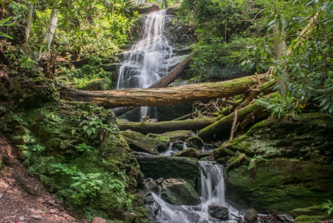 This New Jersey Waterfall Is So Hidden, Almost Nobody Has Seen It In Person