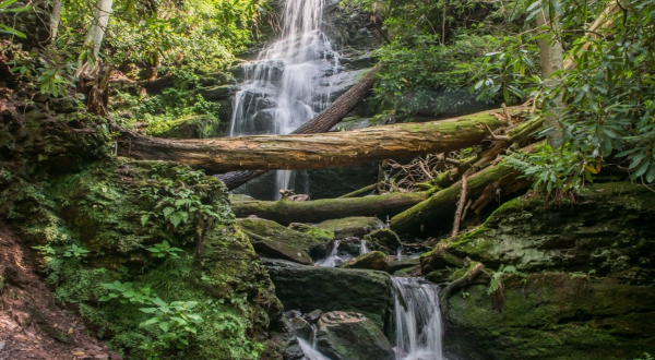 This New Jersey Waterfall Is So Hidden, Almost Nobody Has Seen It In Person