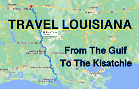 This Louisiana Road Trip Takes You From The Shores Of The Gulf To The Tree Top Views In The Kisatchie