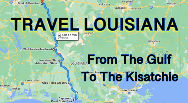 This Louisiana Road Trip Takes You From The Shores Of The Gulf To The Tree Top Views In The Kisatchie