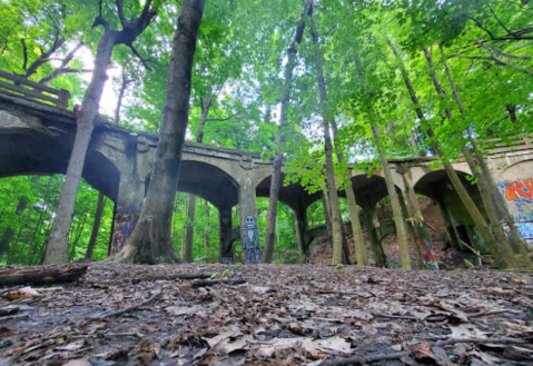 The Bridge To Nowhere In The Middle Of The Ohio Woods Will Capture Your Imagination