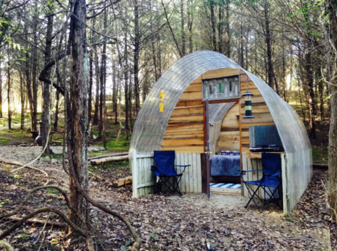 Spend The Night In A Stargazing Hut At This Unique Tennessee Airbnb