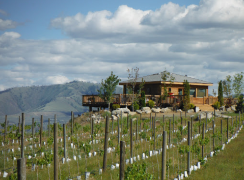 You Can Camp Overnight At This Remote Winery In Washington