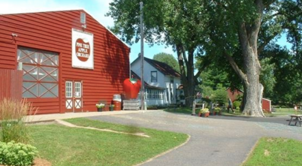 The Best Strawberry Rhubarb Pie In The World Is Located At This Minnesota Farm Market