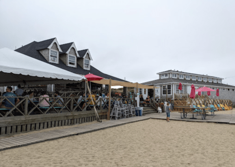 Order Burgers And Cocktails While You Play With Puppies At This Only-In-Massachusetts Beach Bar