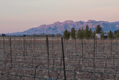 You Can Camp Overnight At This Remote Winery In New Mexico