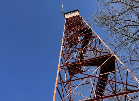 This Meandering Trail Leads To A Fire Tower You Can Climb For Stunning Views Of Ohio