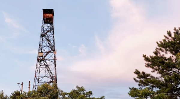 This Meandering Trail Leads To A Fire Tower You Can Hike To For Stunning Views Of Virginia