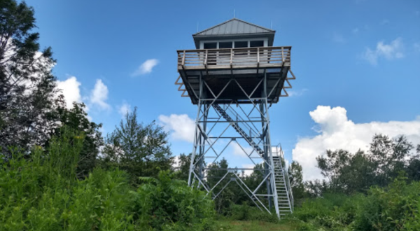 This Abandoned Fire Tower In North Carolina Offers The Perfect Way To Spend An Afternoon