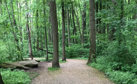 The One Loop Trail In The Cleveland Metroparks That's Perfect For A Short Day Hike, No Matter What Time Of Year