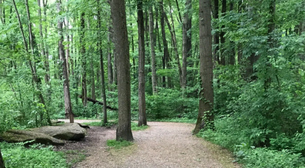 The One Loop Trail In The Cleveland Metroparks That’s Perfect For A Short Day Hike, No Matter What Time Of Year