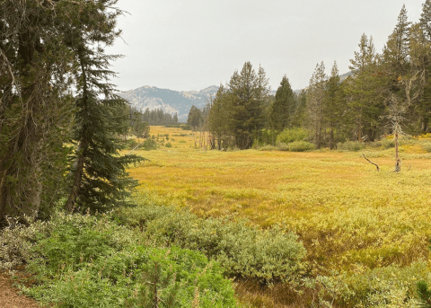 Tahoe Meadows Interpretive Loop Is An Easy Hike In Nevada That Takes You To An Unforgettable View
