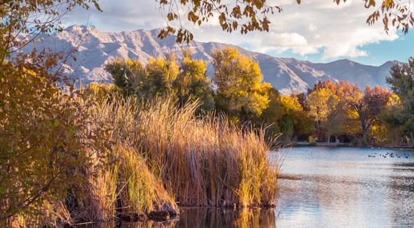 Floyd Lamb Park Is A Little-Known Park In Nevada That Is Perfect For Your Next Outing