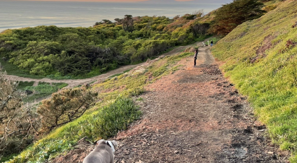 If There Are Only 3 Family Hikes You Ever Take In Northern California, Follow These Easy Trails