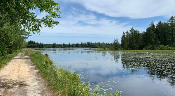 There’s A Lake Hiding In An New Jersey Forest Where You Can Camp Year-Round