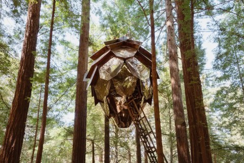 The Forest Treehouse Getaway In Southern California To Check Out When You Want To Stay Somewhere Unique