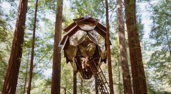 The Forest Treehouse Getaway In Southern California To Check Out When You Want To Stay Somewhere Unique