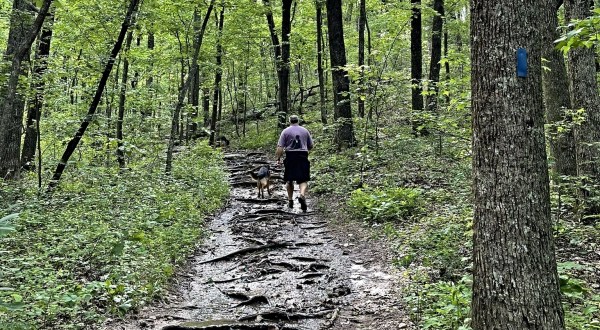 Take A Steep Hike To An Alabama Overlook That’s Like A King’s Chair