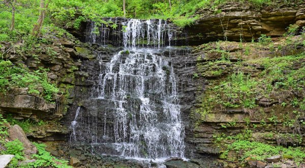 Kentucky’s Most Easily Accessible Waterfall Is Hiding In Plain Sight At The Cove Spring Park