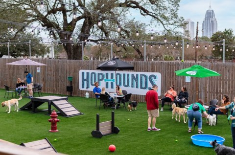 Order A Pint While You Play With Puppies At This Alabama Dog Park